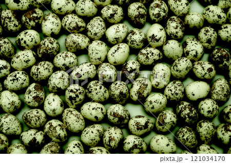 Abstract dark green brown spotted eggs with poisonous tint Abstract dark green brown spotted eggs with poisonous tint 121034170