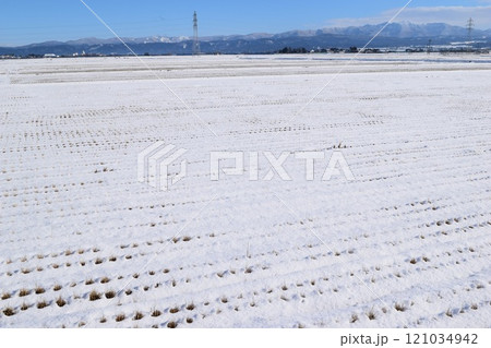 雪国の田園風景 山形県庄内 雪国の田園風景 山形県庄内 121034942