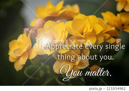 Appreciate every single thing about you. You matter. Inspirational and motivational concept. 121034962