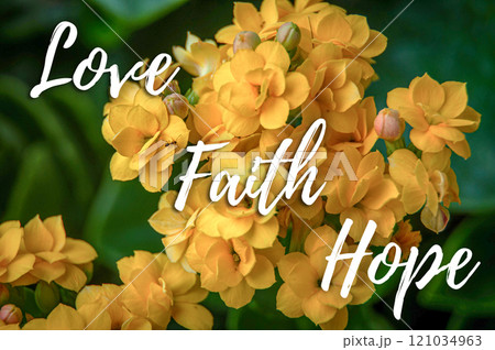 Love, Faith and Hope text with beautiful yellow flower background. 121034963