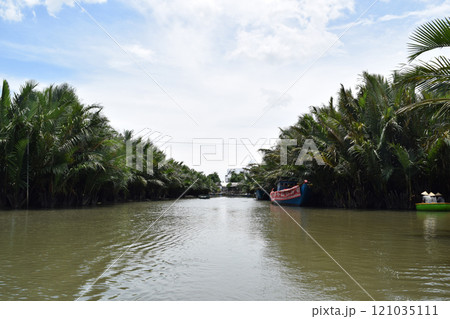 ベトナム ホイアンのマングローブ 121035111