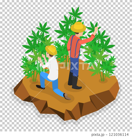 3D Isometric Flat  Illustration of Hemp Farm. Item 2 121036114