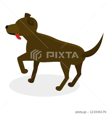 3D Isometric Flat  Illustration of Pet Care. Item 7 121036170