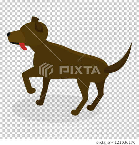 3D Isometric Flat  Illustration of Pet Care. Item 7 121036170