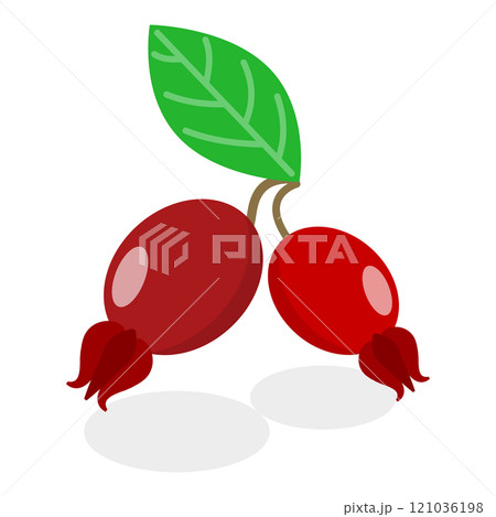 3D Isometric Flat  Set of Medical Herbs And Berries. Item 1 121036198