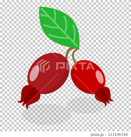 3D Isometric Flat  Set of Medical Herbs And Berries. Item 1 121036198