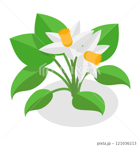 3D Isometric Flat Set of Plants In Pots. Item 8 3D Isometric Flat Set of Plants In Pots. Item 8 121036213