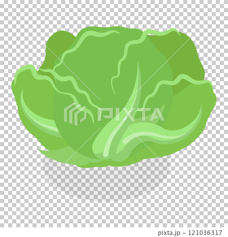 3D Isometric Flat  Set of Salad Greens. Item 2 121036317