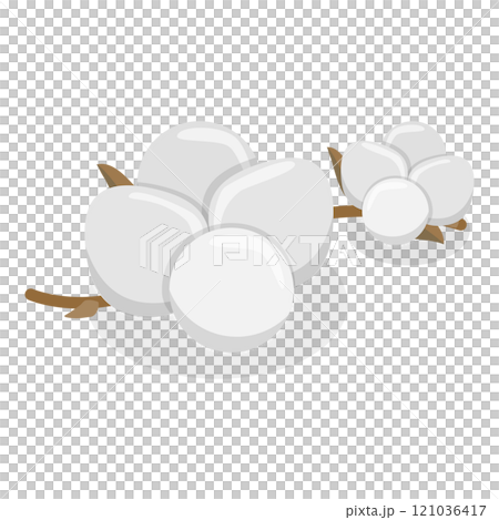 3D Isometric Flat Illustration of Cotton Flower Collection. Item 4 3D Isometric Flat Illustration of Cotton Flower Collection. Item 4 121036417