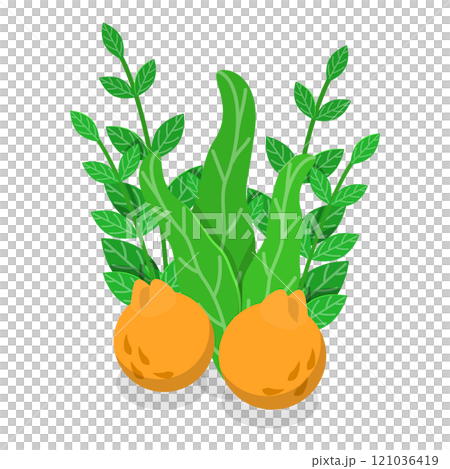 3D Isometric Flat Set of Jeju. Item 3 3D Isometric Flat Set of Jeju. Item 3 121036419