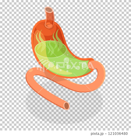 3D Isometric Flat Set of Stomach Problems. Item 4 3D Isometric Flat Set of Stomach Problems. Item 4 121036480