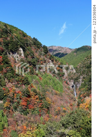 大荒の滝もみじ峡 彩る山峡 (高知県 香美市) 大荒の滝もみじ峡 彩る山峡 (高知県 香美市) 121036984