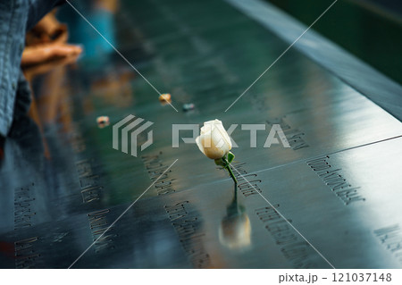 追悼の白いバラ（グラウンドゼロ） 121037148