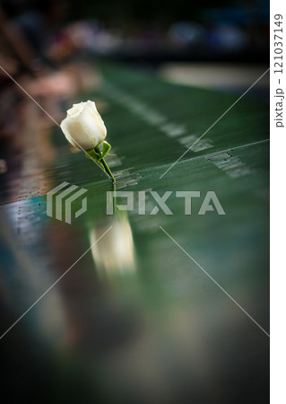 刻まれた名前とバラ（ニューヨーク） 121037149