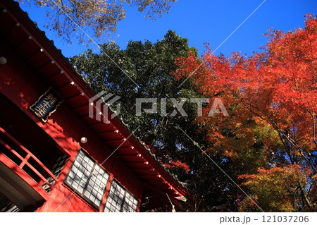 【栃木県】紅葉に染まる山中に佇む磯山弁財天の楼門 121037206