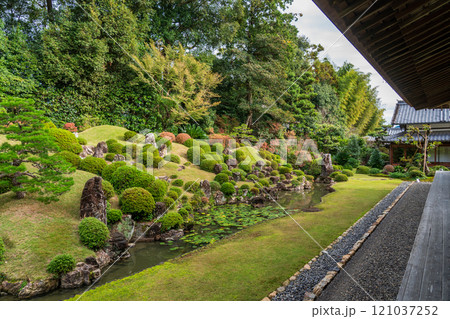 紅葉と緑に包まれた龍潭寺の庭園　静岡県浜松市 121037252