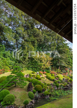 紅葉と緑に包まれた龍潭寺の庭園 静岡県浜松市 紅葉と緑に包まれた龍潭寺の庭園 静岡県浜松市 121037254