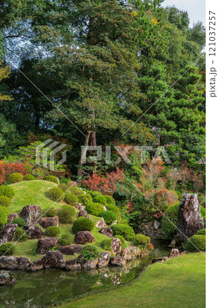 紅葉と緑に包まれた龍潭寺の庭園　静岡県浜松市 121037257