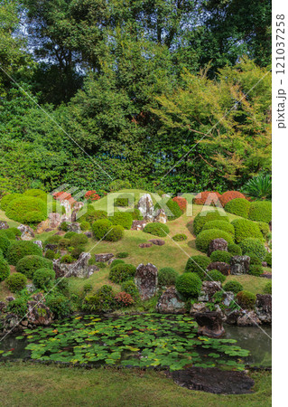 紅葉と緑に包まれた龍潭寺の庭園　静岡県浜松市 121037258