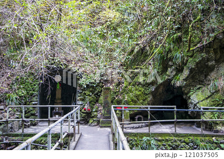 高尾山 琵琶滝コース(6号路) 登山道沿い 岩屋大師 11月下旬 高尾山 琵琶滝コース(6号路) 登山道沿い 岩屋大師 11月下旬 121037505