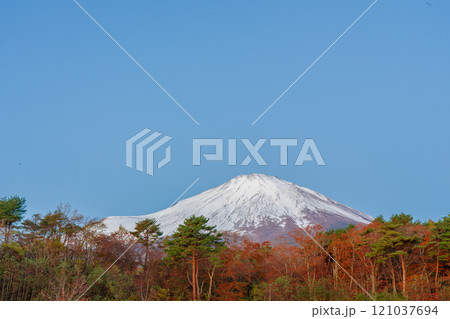 紅葉と冠雪した秋の富士山　道の駅 すばしり側 121037694