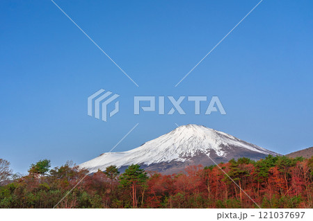 紅葉と冠雪した秋の富士山 道の駅 すばしり側 紅葉と冠雪した秋の富士山 道の駅 すばしり側 121037697