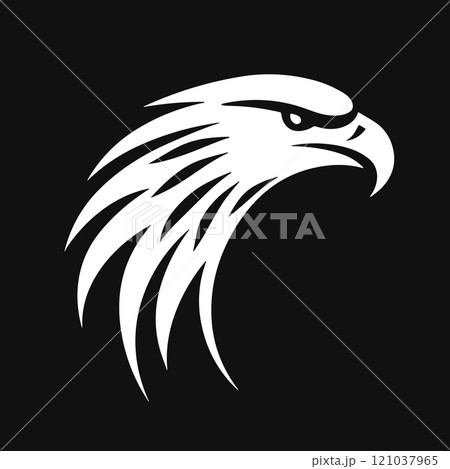 Abstract eagle icon. Bird head vector mascot. Black and white vector illustration 121037965