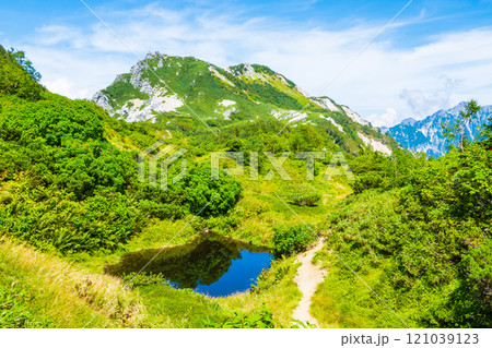 夏の烏帽子岳・南沢岳登山（烏帽子岳～南沢岳：烏帽子田圃） 121039123