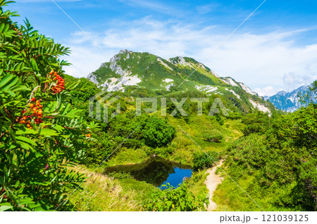 夏の烏帽子岳・南沢岳登山（烏帽子岳～南沢岳：烏帽子田圃） 121039125