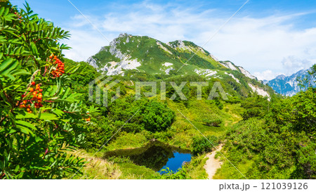 夏の烏帽子岳・南沢岳登山（烏帽子岳～南沢岳：烏帽子田圃） 121039126