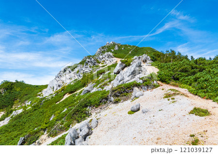 夏の烏帽子岳・南沢岳登山（烏帽子岳～南沢岳） 121039127