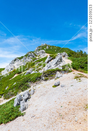 夏の烏帽子岳・南沢岳登山(烏帽子岳~南沢岳) 夏の烏帽子岳・南沢岳登山(烏帽子岳~南沢岳) 121039153