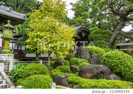 伊豆修善寺　修禅寺　達磨石　静岡県伊豆市 121040145