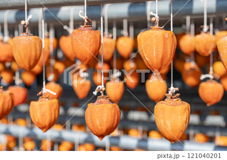 干し柿　あんぽ柿　ドライフルーツ 121040201