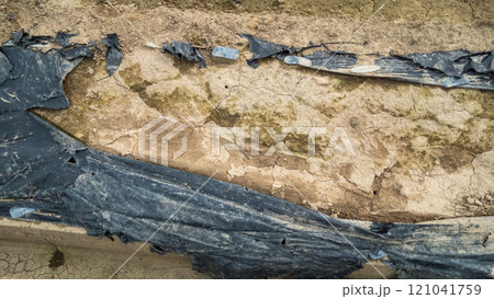 破れた黒マルチ 121041759