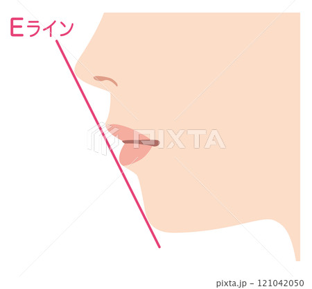 理想的なEライン　横顔 121042050