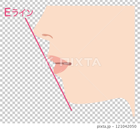 理想的なEライン　横顔 121042050