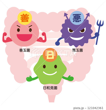 腸内細菌　善玉菌　悪玉菌　日和見菌 121042361