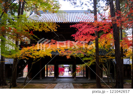 紅葉が美しい秋の曹源寺 121042657