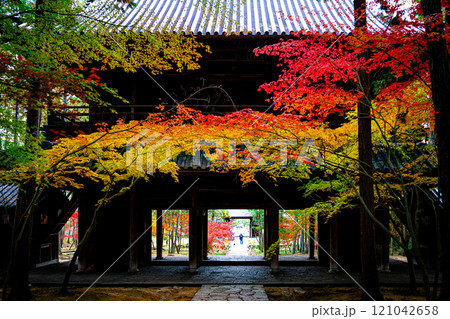 紅葉が美しい秋の曹源寺 紅葉が美しい秋の曹源寺 121042658