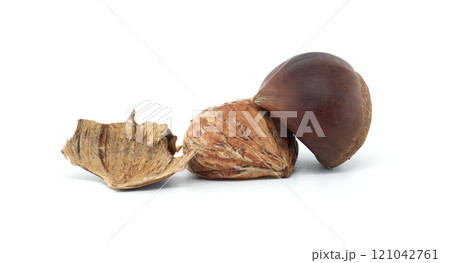 Nature's Beauty Macro Chestnut and Shell Isolated on White Background Nature's Beauty Macro Chestnut and Shell Isolated on White Background 121042761