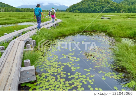 夏の群馬県の尾瀬 上田代の池塘(ちとう)と牛首方面の眺望 夏の群馬県の尾瀬 上田代の池塘(ちとう)と牛首方面の眺望 121043066
