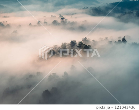 Aerial view of forest and morning fog in a tropical rainforest in Asia Aerial view of forest and morning fog in a tropical rainforest in Asia 121043436