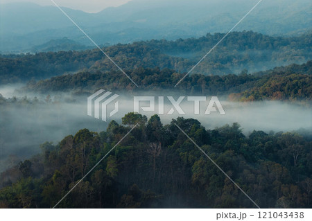 Aerial view of forest and morning fog in a tropical rainforest in Asia 121043438