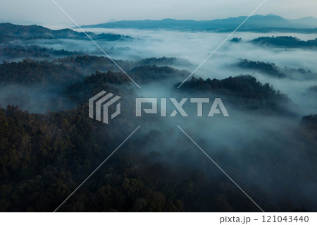 Aerial view of forest and morning fog in a tropical rainforest in Asia Aerial view of forest and morning fog in a tropical rainforest in Asia 121043440