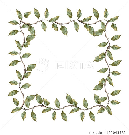 Square, rectangular frame of branches and green leaves Square, rectangular frame of branches and green leaves 121043582