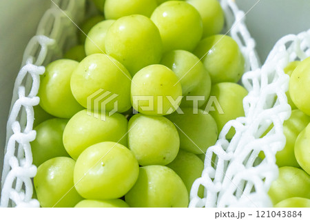 シャインマスカットのクローズアップ 121043884