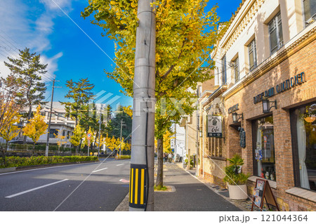 秋の京都市百万遍 京都大学周辺の街並み 秋の京都市百万遍 京都大学周辺の街並み 121044364
