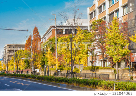 秋の京都市百万遍　京都大学周辺の街並み 121044365