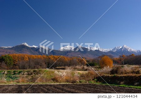 晩秋の田園を前景に展望する薄く雪化粧した八ヶ岳連峰 121044434